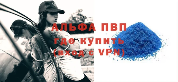 стаф Козельск