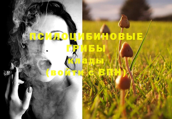 мяу мяу кристалл Нягань