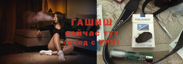 индика Кинешма