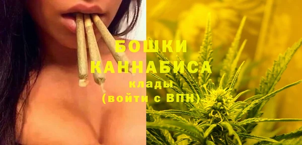 индика Кинешма