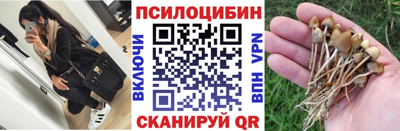 Галлюциногенные грибы ЛСД Княгинино