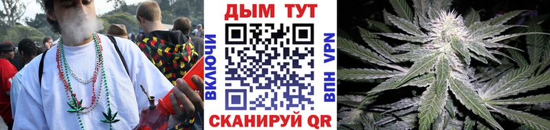 Канабис Ganja  Княгинино 